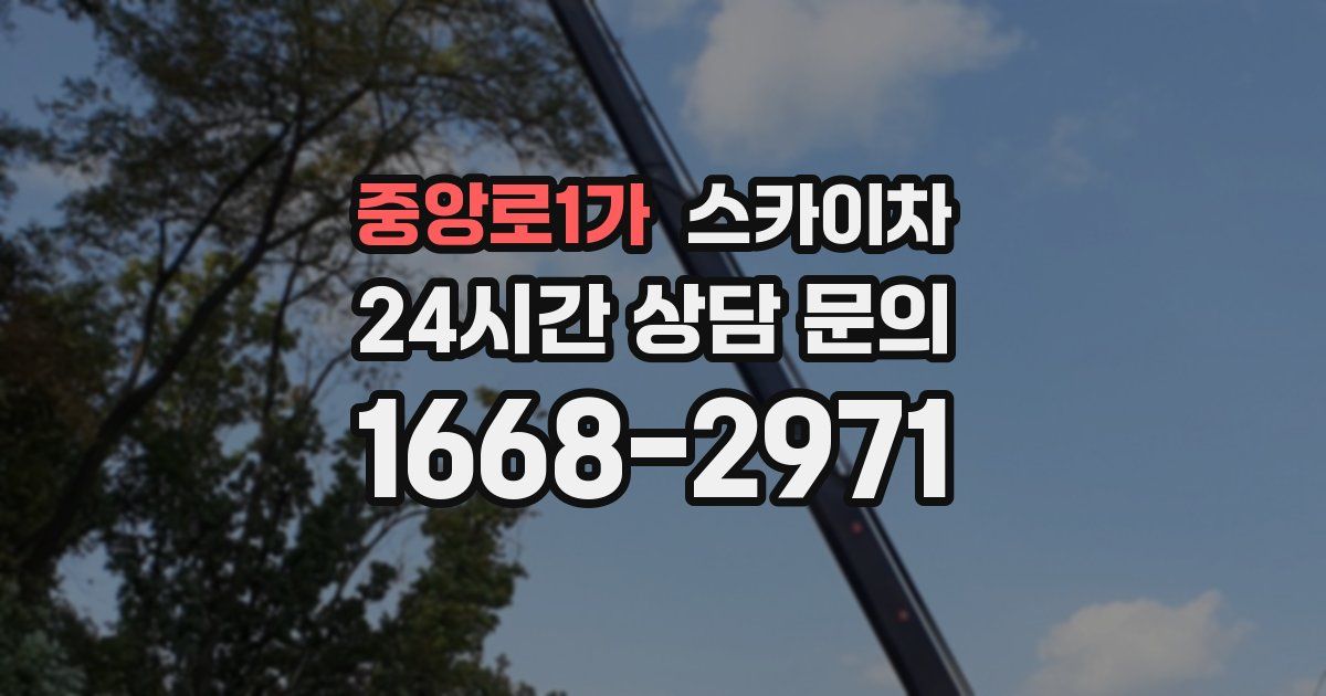 중앙로1가 스카이차