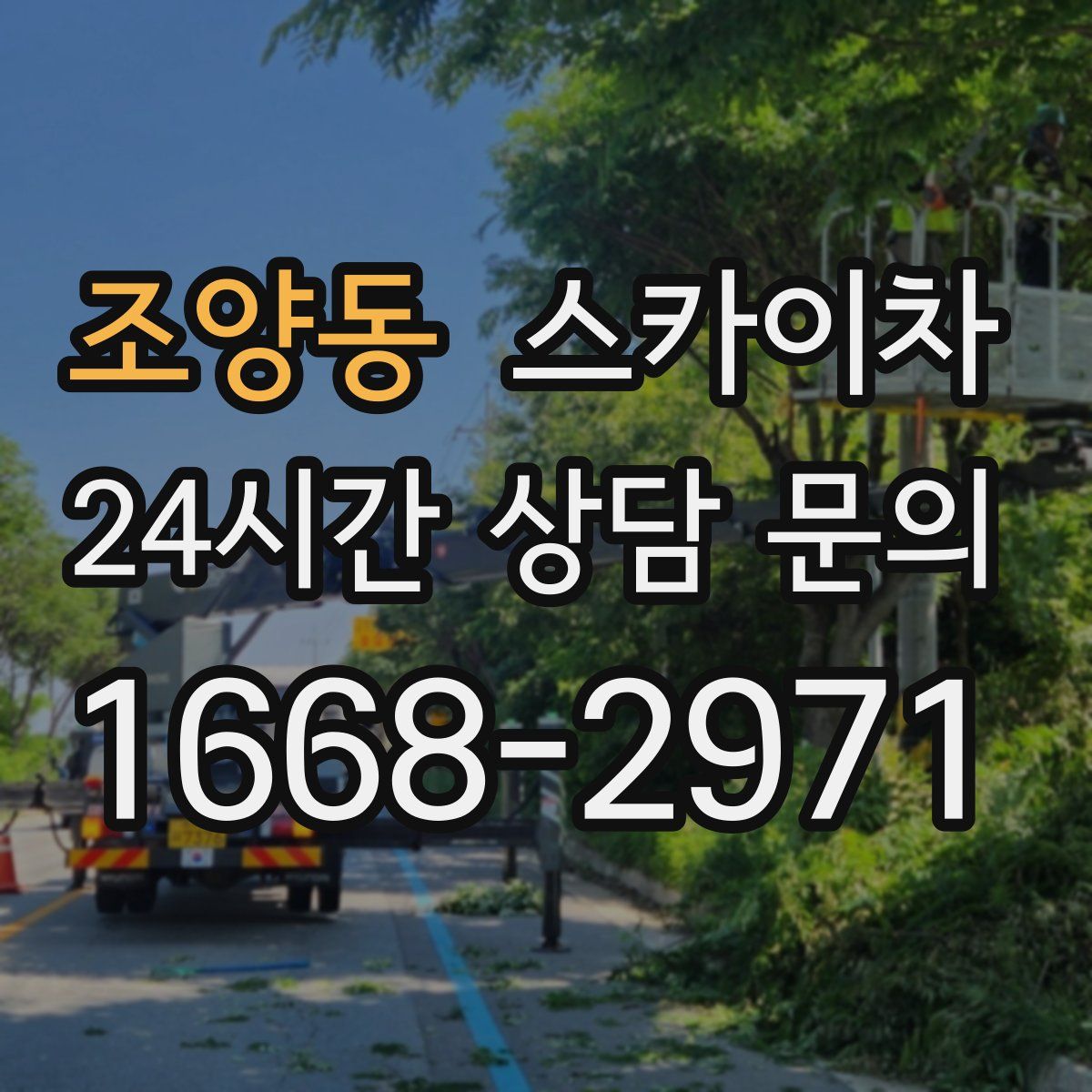 조양동 스카이차