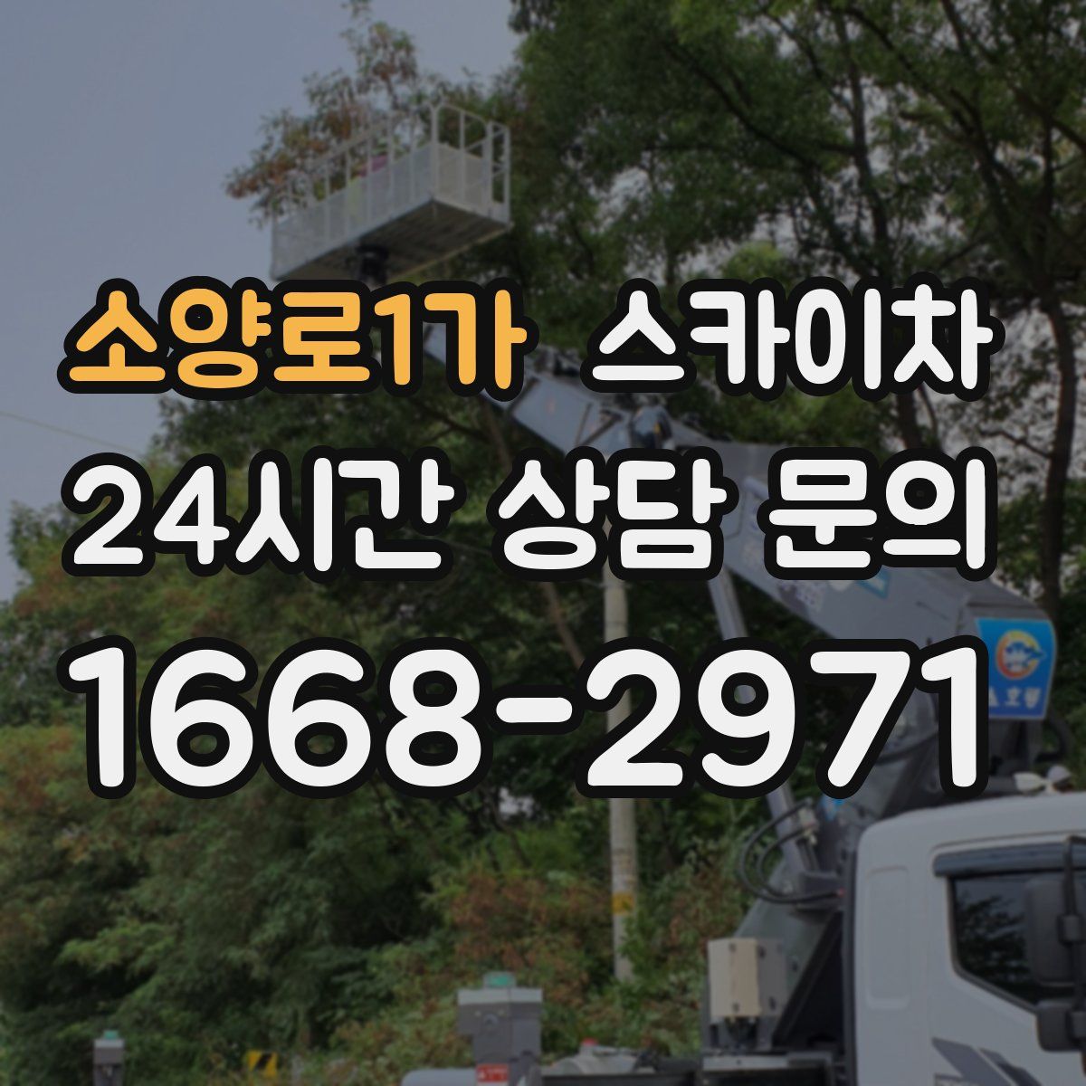 소양로1가 스카이차