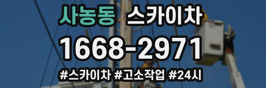 사농동 스카이차