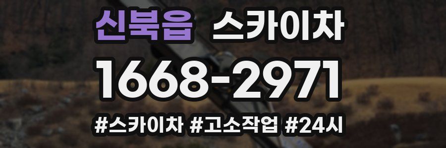 신북읍 스카이차