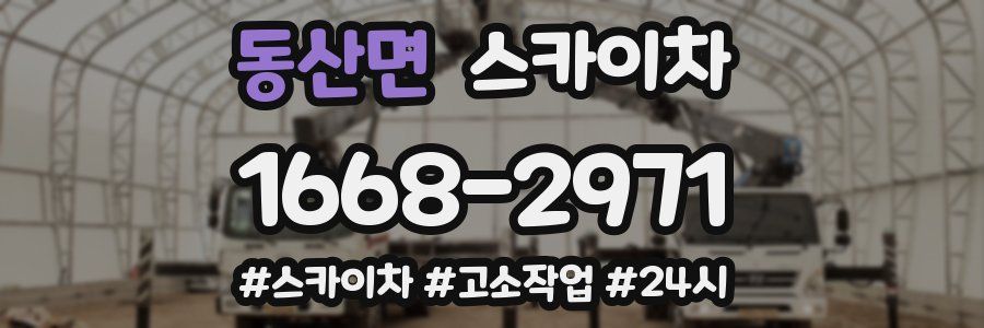 동산면 스카이차