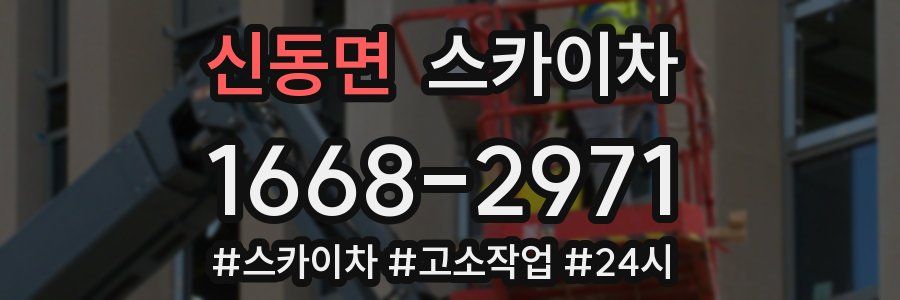 신동면 스카이차