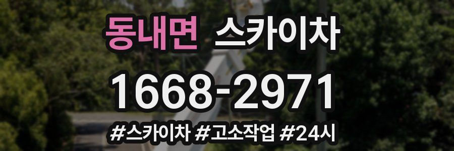 동내면 스카이차