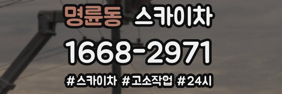 명륜동 스카이차