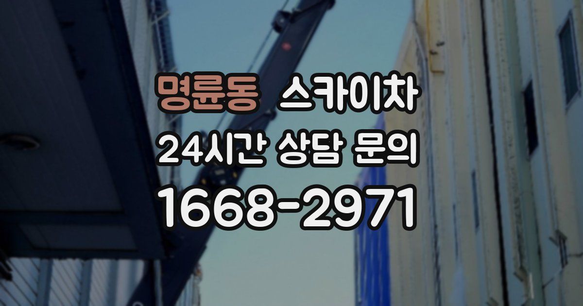 명륜동 스카이차