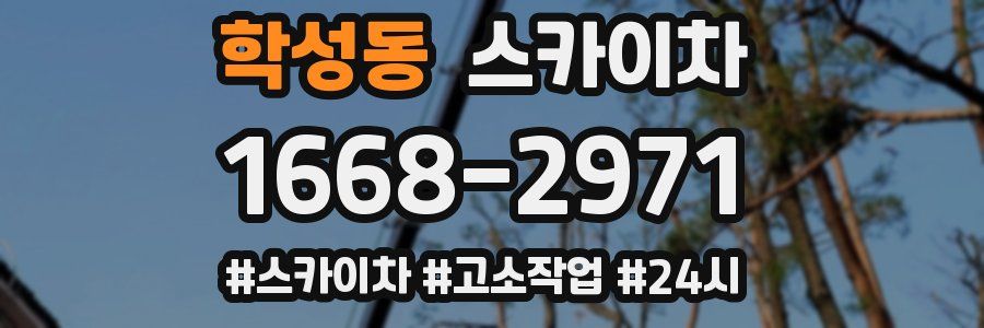 학성동 스카이차