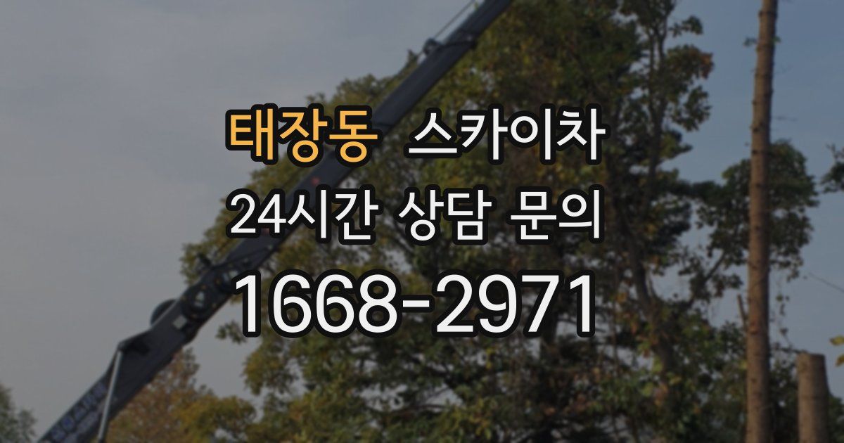 태장동 스카이차