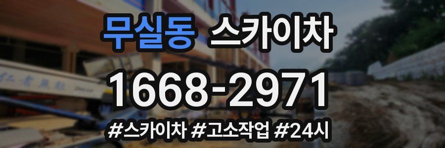 무실동 스카이차