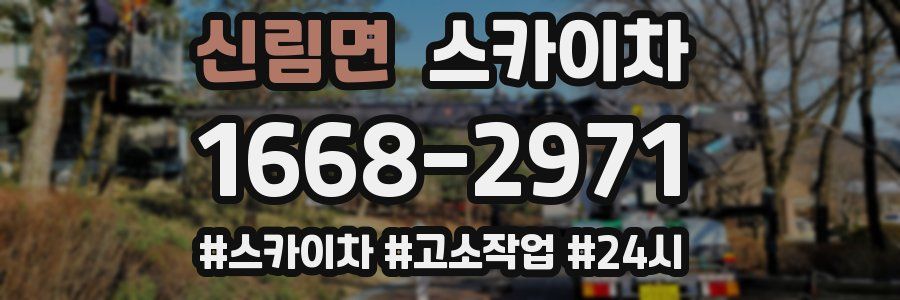 신림면 스카이차