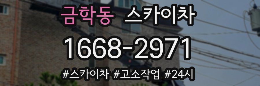 금학동 스카이차