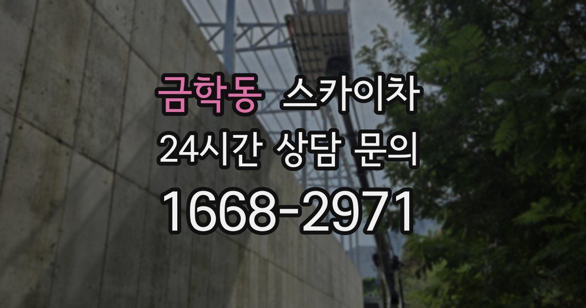 금학동 스카이차