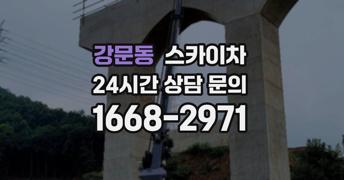 강문동 스카이차