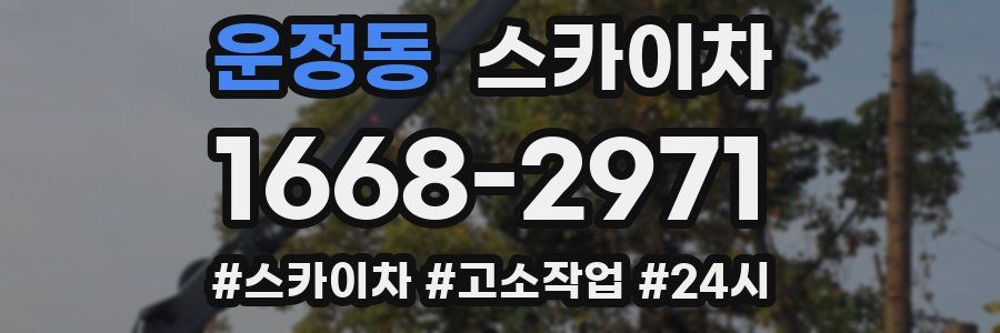 운정동 스카이차