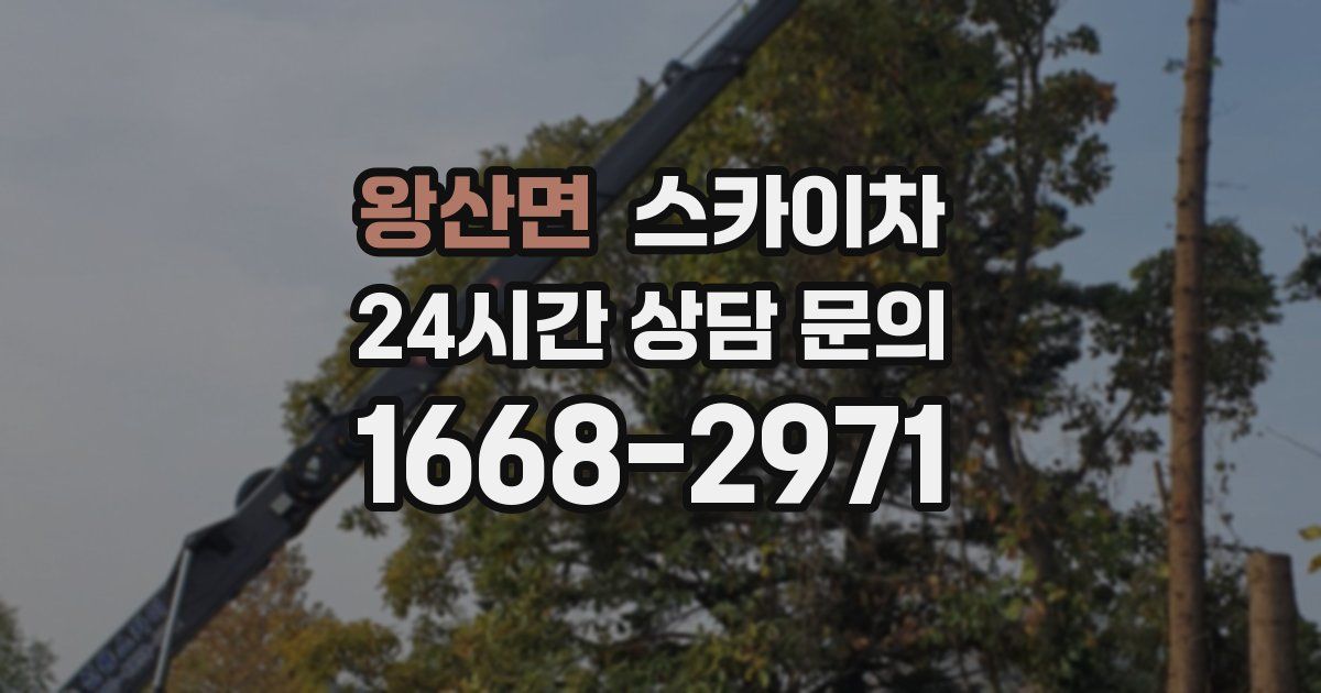 왕산면 스카이차