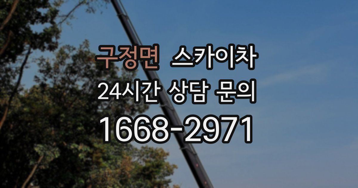 구정면 스카이차