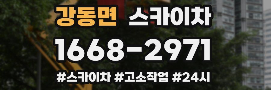 강동면 스카이차