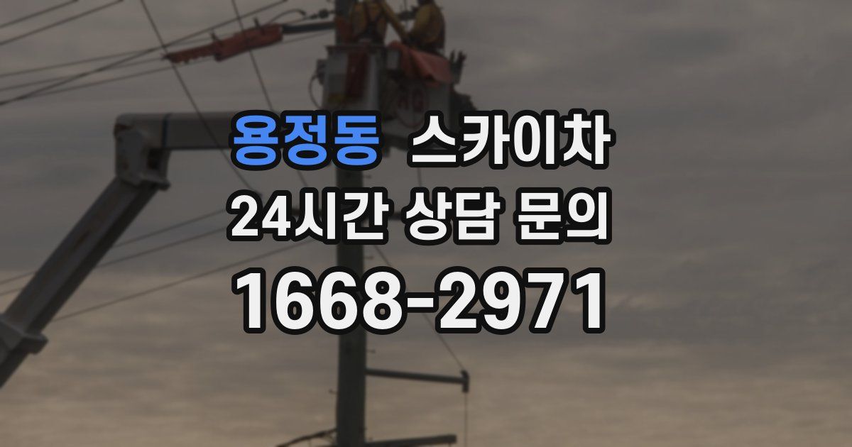 용정동 스카이차