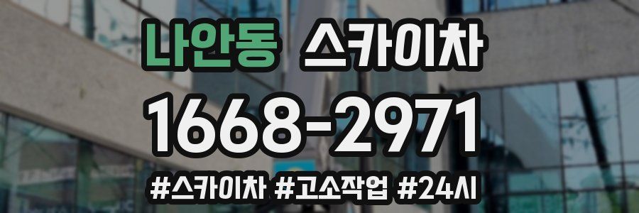 나안동 스카이차