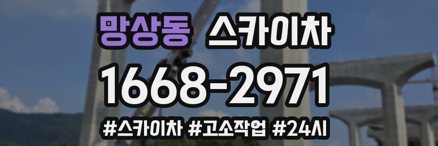 망상동 스카이차