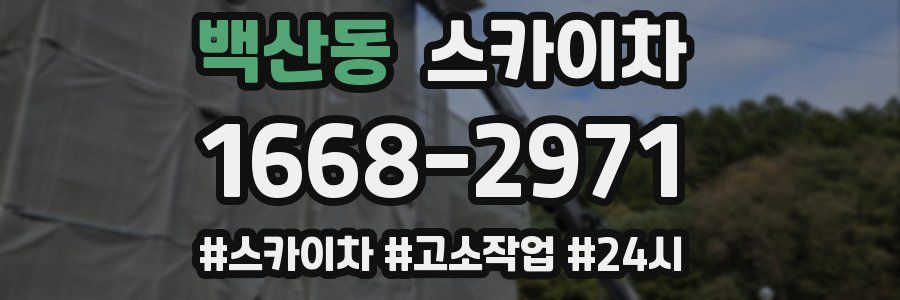 백산동 스카이차