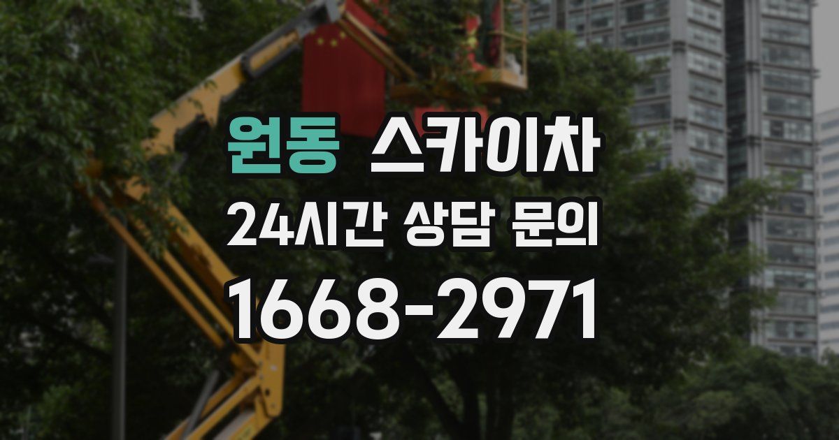원동 스카이차