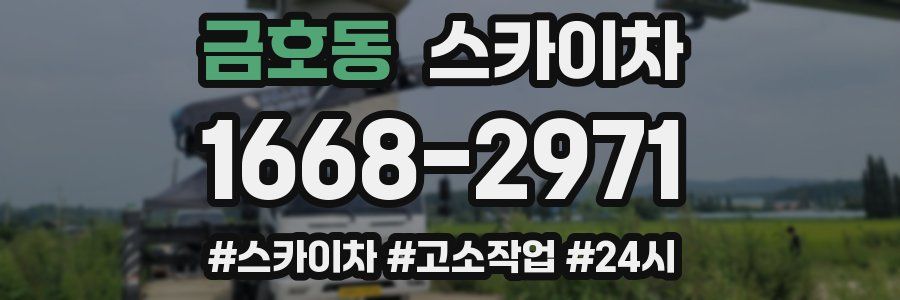 금호동 스카이차