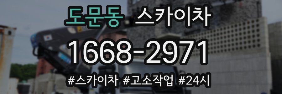 도문동 스카이차