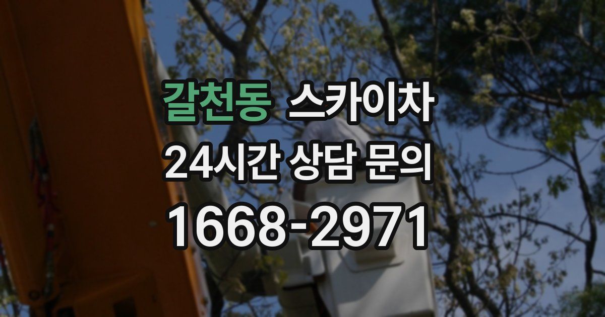 갈천동 스카이차