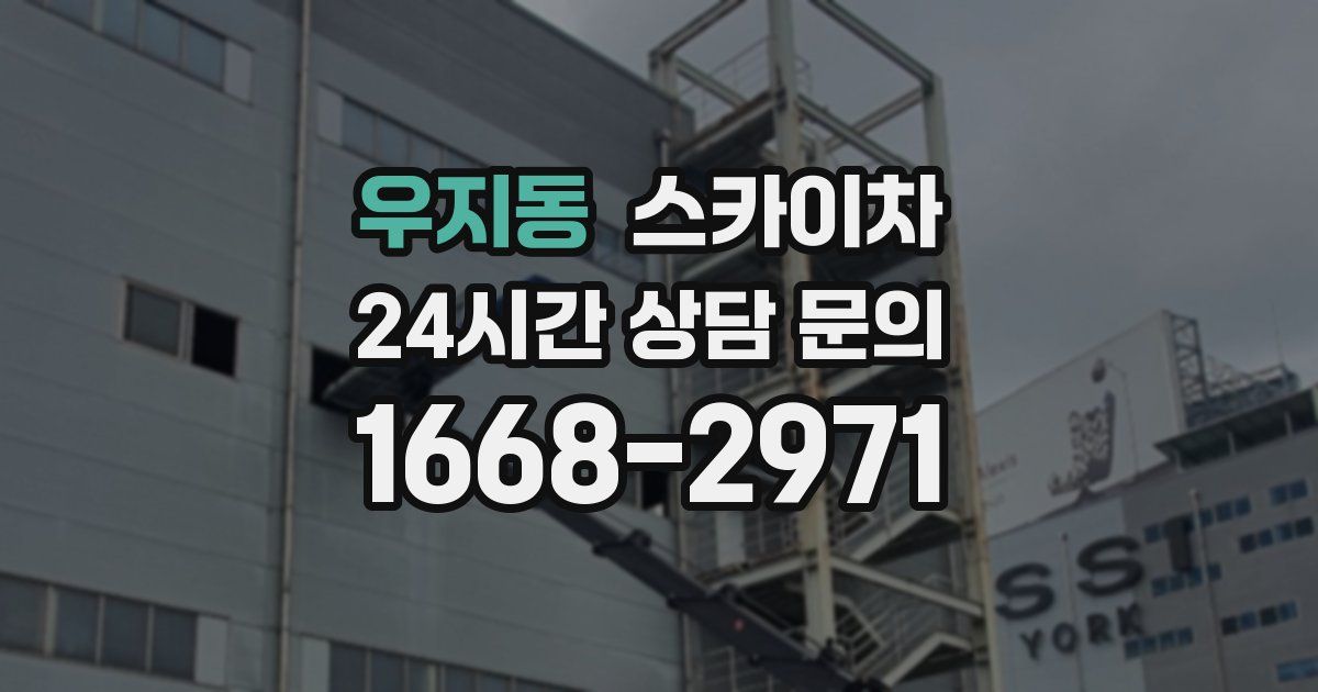 우지동 스카이차