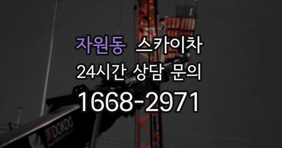 자원동 스카이차