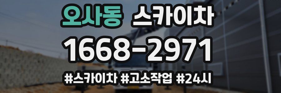 오사동 스카이차