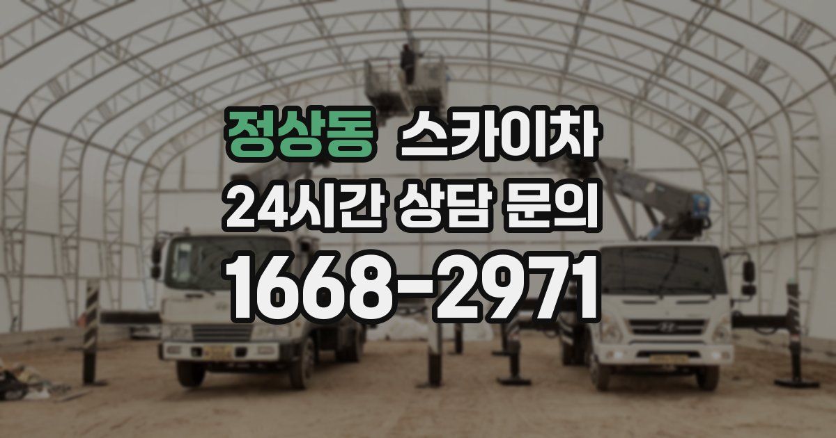 정상동 스카이차