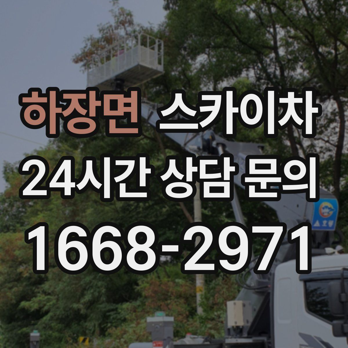 하장면 스카이차