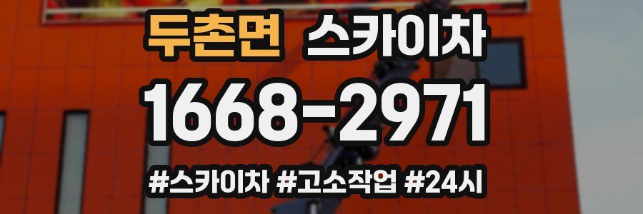 두촌면 스카이차