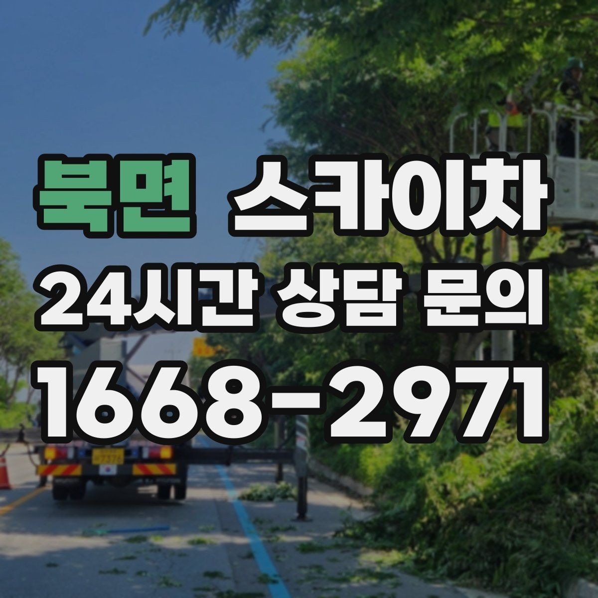 북면 스카이차 빗물받이 주변 청소로 막힘 예방
