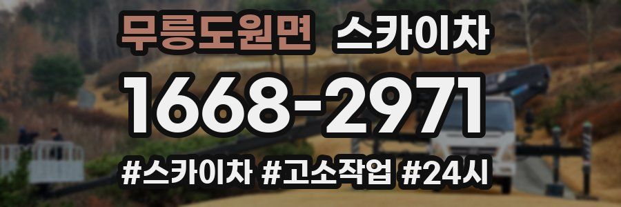 무릉도원면 스카이차