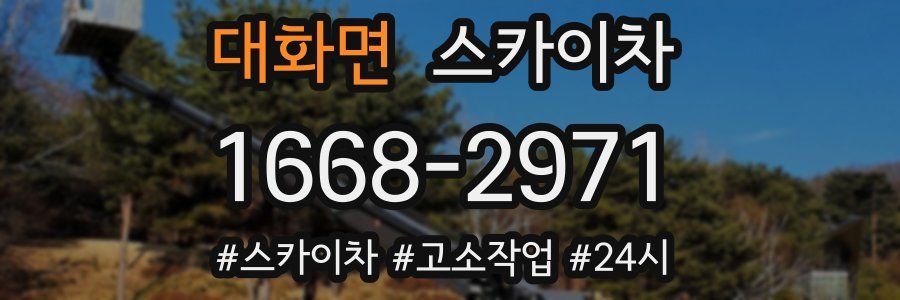 대화면 스카이차