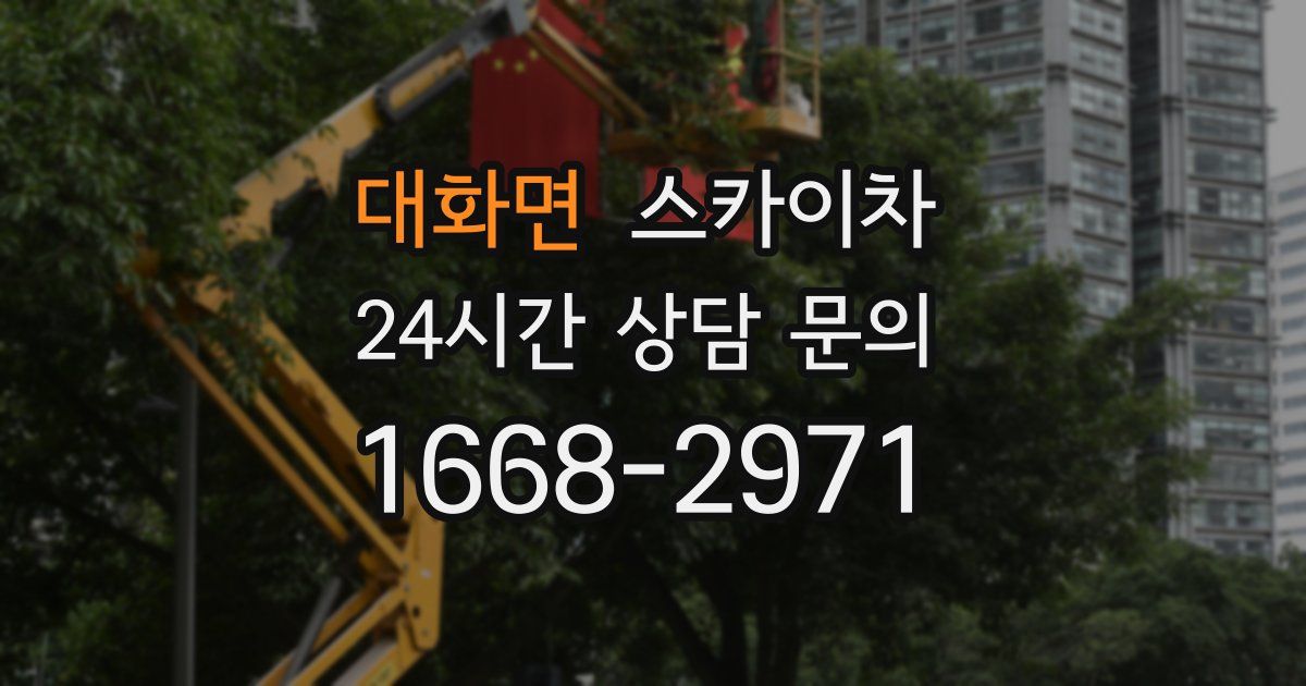 대화면 스카이차