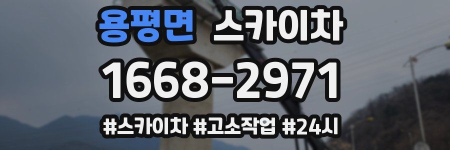 용평면 스카이차