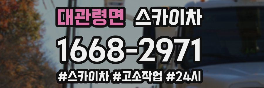 대관령면 스카이차