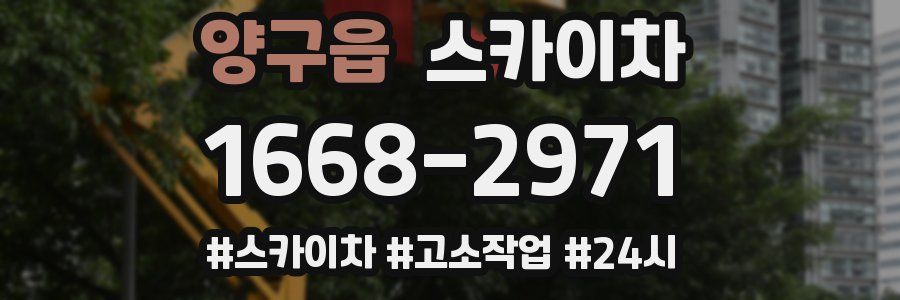 양구읍 스카이차