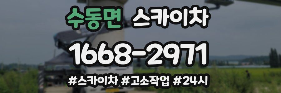 수동면 스카이차