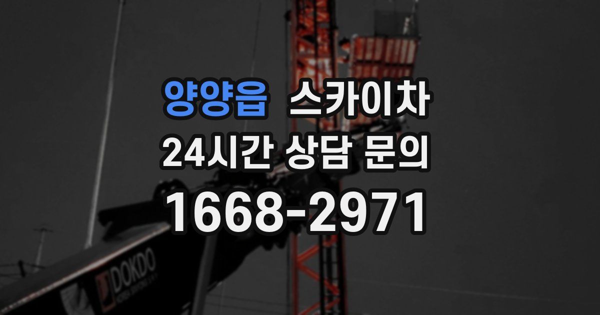 양양읍 스카이차