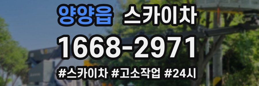 양양읍 스카이차