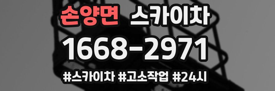 손양면 스카이차