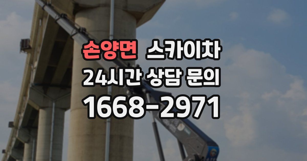 손양면 스카이차