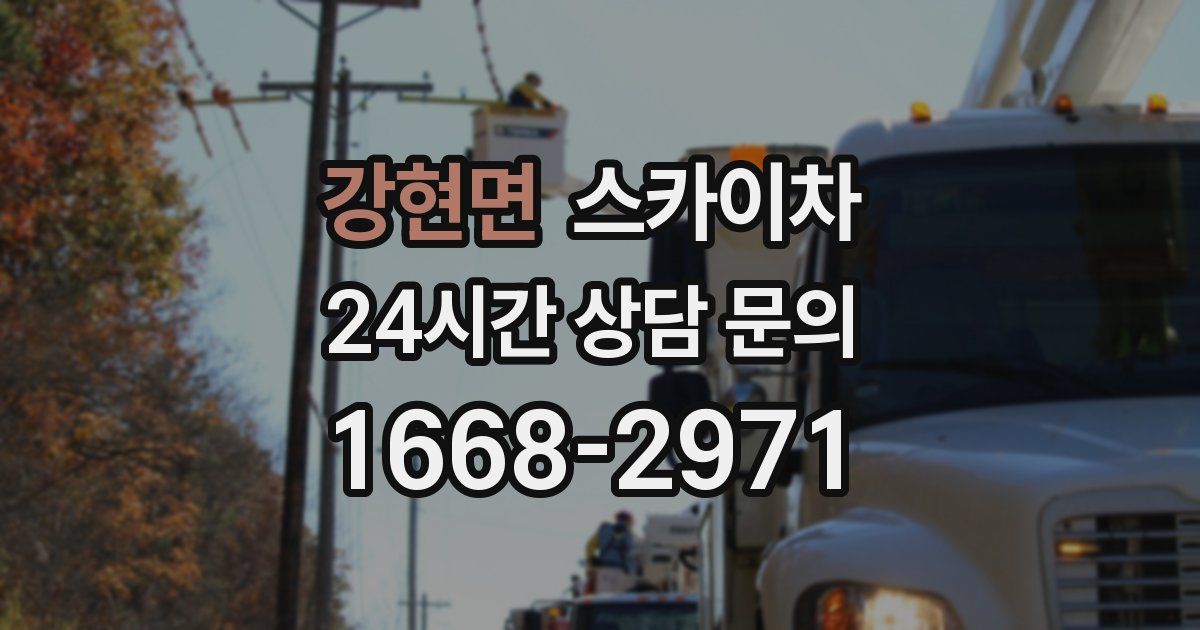 강현면 스카이차