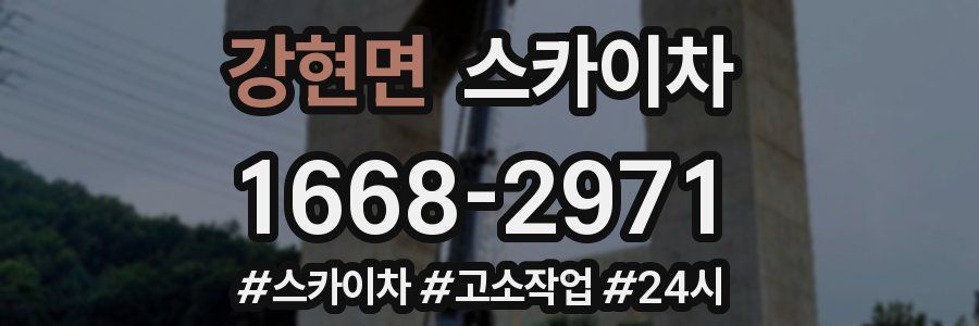 강현면 스카이차