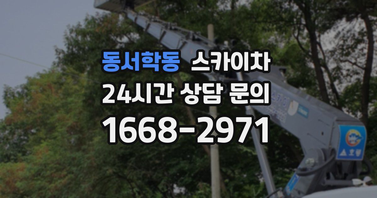 동서학동 스카이차